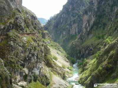 Ruta Cares-Picos de Europa; rutas grazalema viajes organizados para solteros tren a cotos senderismo